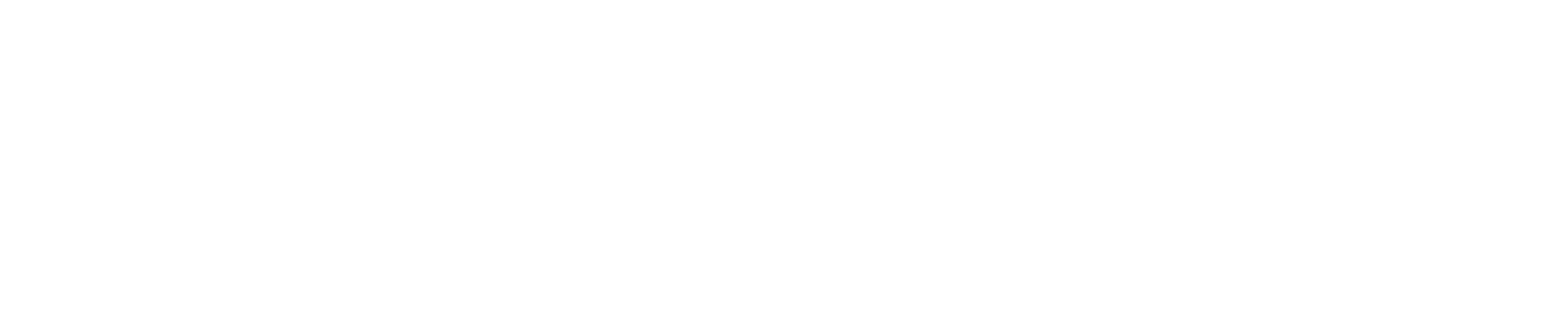 DigiFirst AI